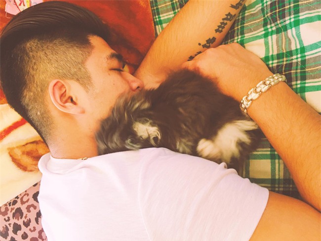 Bị dân mạng phẫn nộ vì hành hạ mèo bằng cuộn băng dính, người chủ lên tiếng - Ảnh 4.