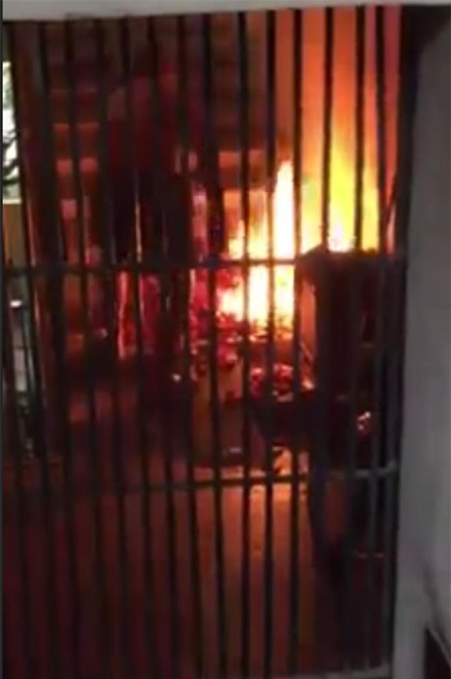 nguoi dan ong than nhien dot vang ma tai hanh lang, nguoi dan khu tap the so khiep via - 1