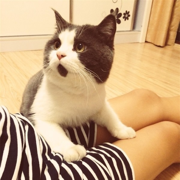 Câu chuyện vợ trẻ cắn răng sống chung với “bồ nhí” của chồng khiến chị em đồng cảm thương lắm thay - Ảnh 2.