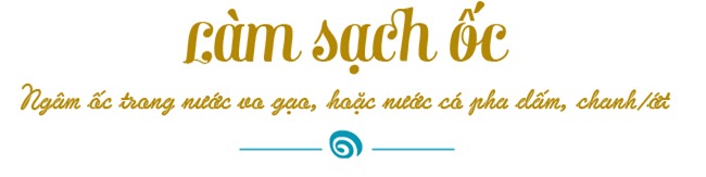 troi chot lanh, mach chi em meo luoc oc gion gion, pha nuoc cham ngon ai an cung suong - 3