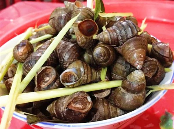 troi chot lanh, mach chi em meo luoc oc gion gion, pha nuoc cham ngon ai an cung suong - 5