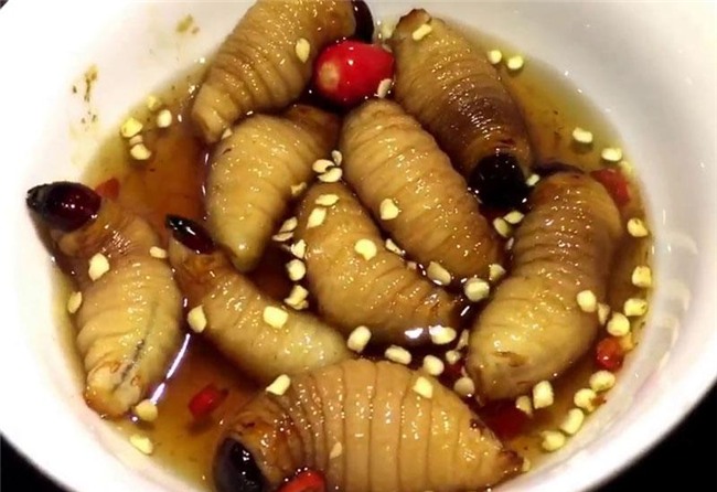 "hoang hon" voi nhung dac san sau bo song bo nhung nhuc tu 3 mien - 1