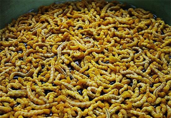 "hoang hon" voi nhung dac san sau bo song bo nhung nhuc tu 3 mien - 13