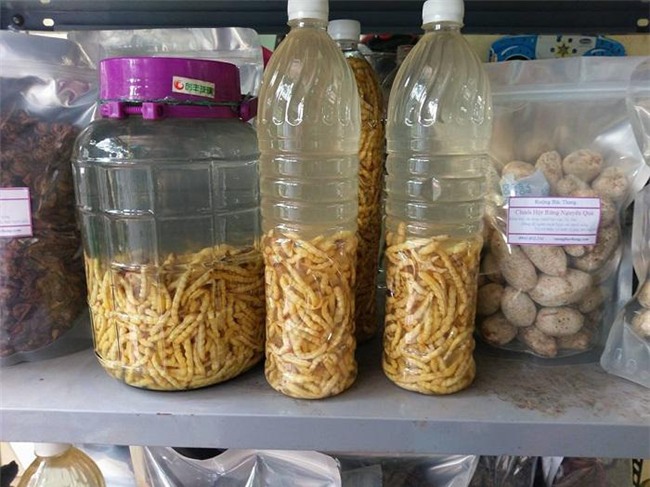 "hoang hon" voi nhung dac san sau bo song bo nhung nhuc tu 3 mien - 14