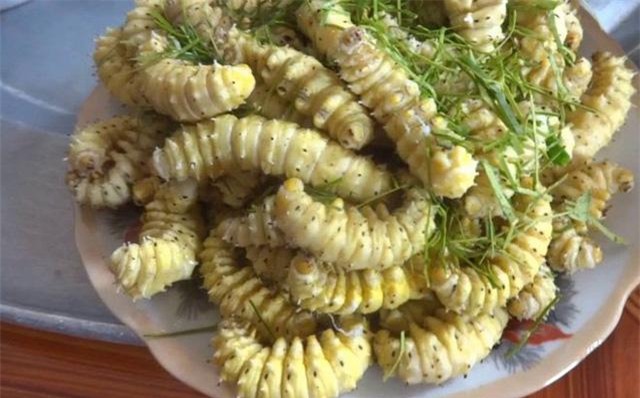 "hoang hon" voi nhung dac san sau bo song bo nhung nhuc tu 3 mien - 6