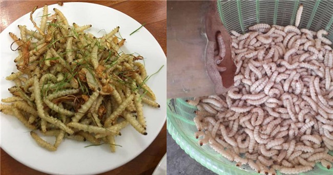 "hoang hon" voi nhung dac san sau bo song bo nhung nhuc tu 3 mien - 7