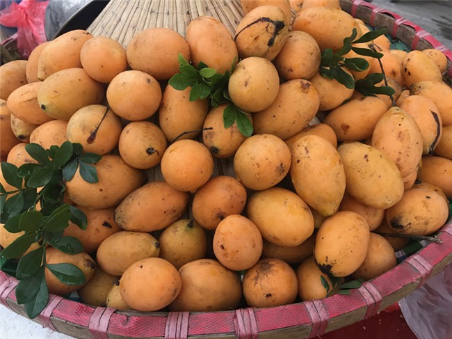 quả thanh trà,hoa quả nhật bản,hoa quả nhập ngoại