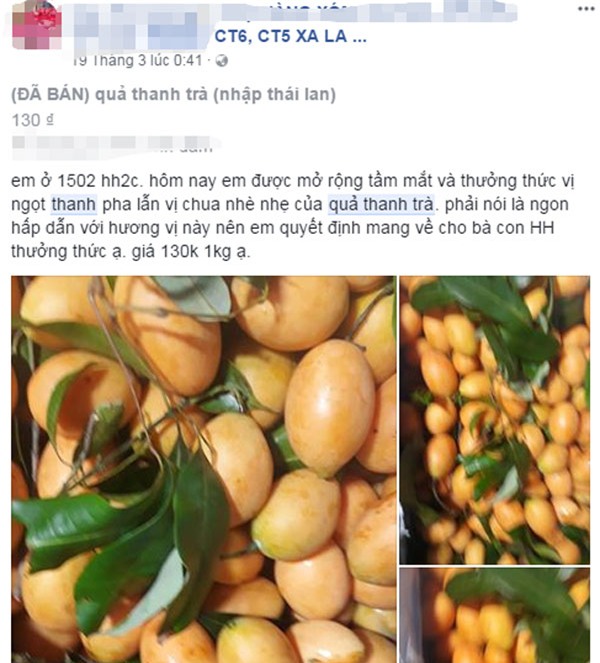 quả thanh trà,hoa quả nhật bản,hoa quả nhập ngoại