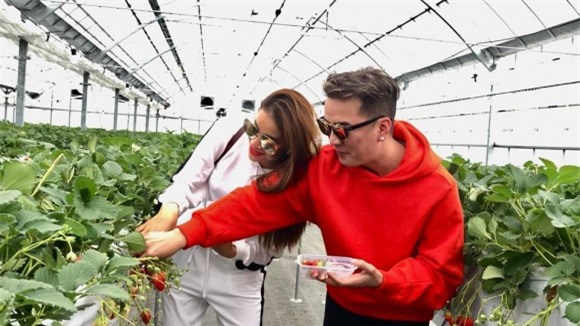 Đàm Vĩnh Hưng, Lệ Hằng, Phạm Hương, Vũ Hà