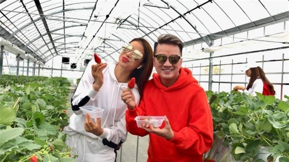 Đàm Vĩnh Hưng, Lệ Hằng, Phạm Hương, Vũ Hà