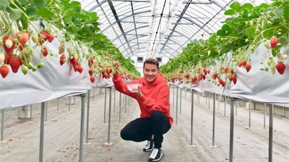 Đàm Vĩnh Hưng, Lệ Hằng, Phạm Hương, Vũ Hà