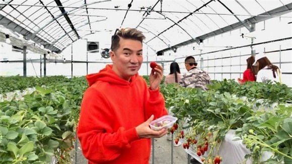 Đàm Vĩnh Hưng, Lệ Hằng, Phạm Hương, Vũ Hà