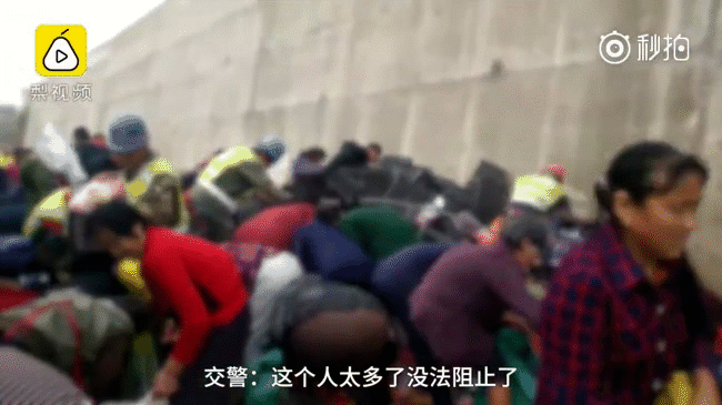 Bất chấp lời cầu xin từ tài xế, người dân thi nhau hôi của khi xe tải chở 9 tấn táo lật đổ trên đường - Ảnh 1.