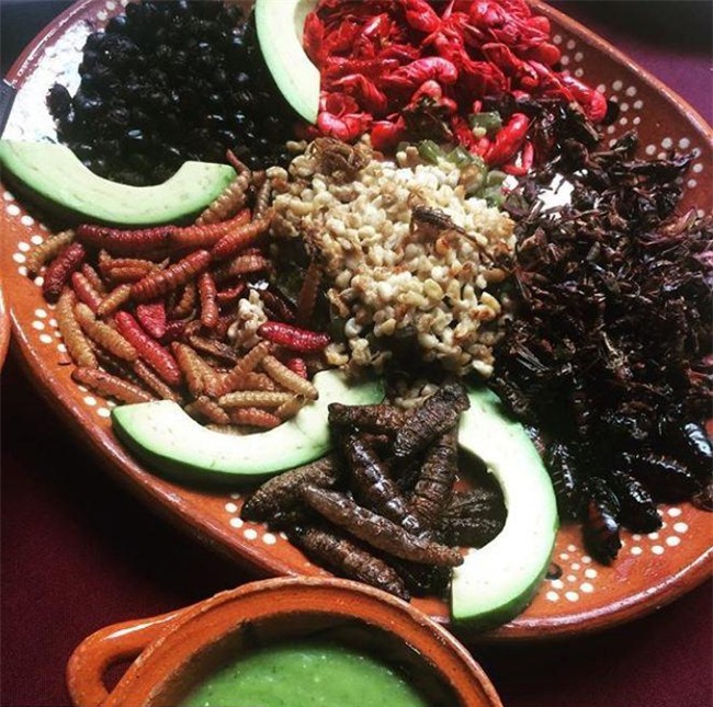 khoc thet voi nhung dac san con trung tai "thanh pho cua nhung cung dien" - 2