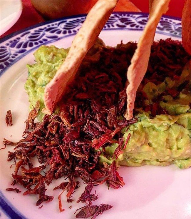 khoc thet voi nhung dac san con trung tai "thanh pho cua nhung cung dien" - 3