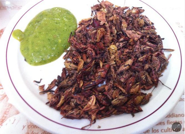 khoc thet voi nhung dac san con trung tai "thanh pho cua nhung cung dien" - 4