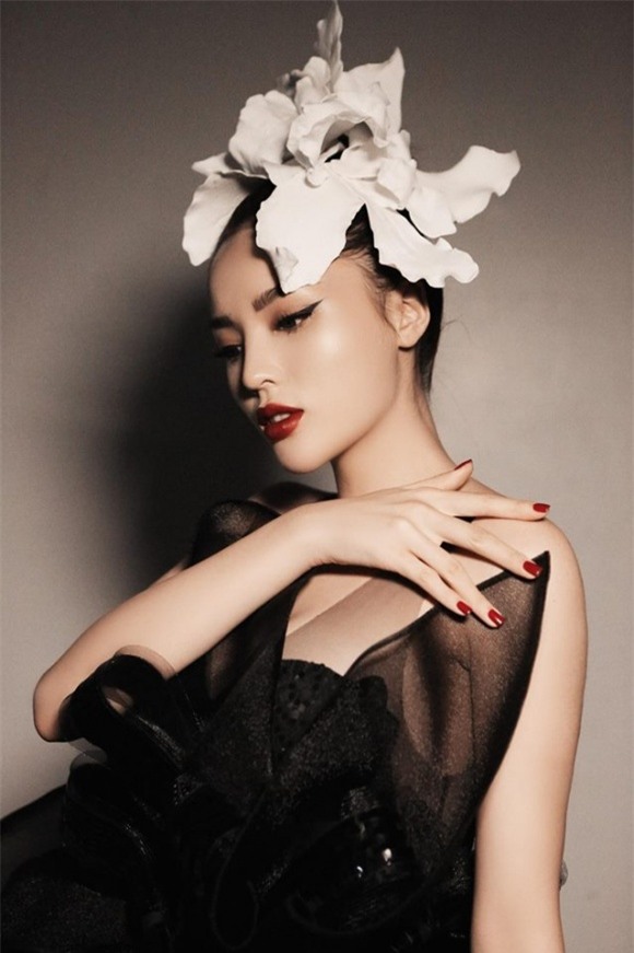 Hoa hậu Kỳ Duyên, Hoa hậu Việt Nam, sao Việt