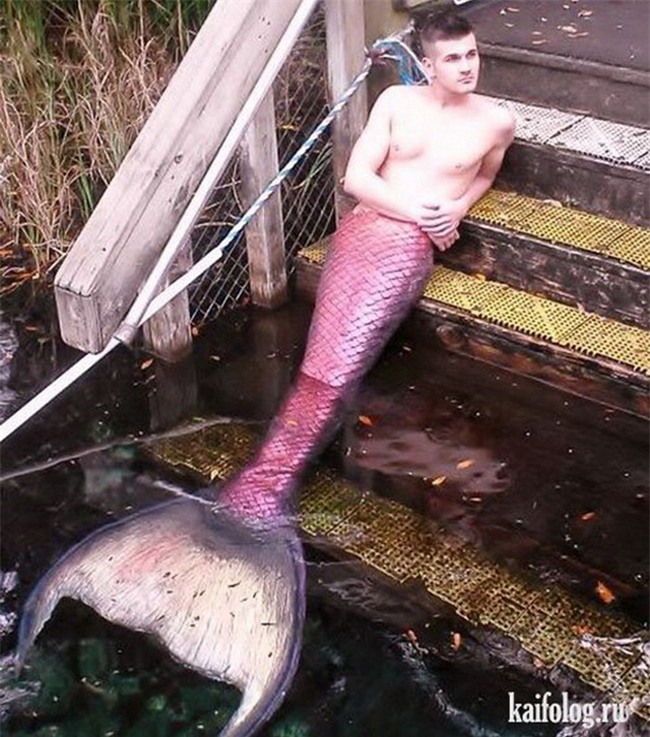 sup do hinh tuong "soai ca" chi qua mot buc anh hinh anh 12