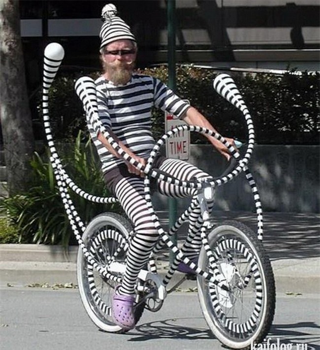 sup do hinh tuong "soai ca" chi qua mot buc anh hinh anh 14