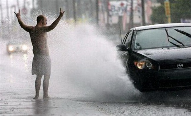 sup do hinh tuong "soai ca" chi qua mot buc anh hinh anh 15