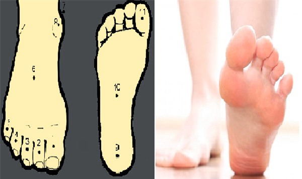 vận mệnh, nhân tướng, bàn chân, Bài chọn lọc,