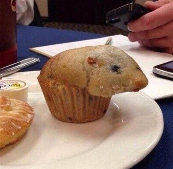 Không ít người sẽ rùng mình nghĩ rằng... có một chú chuột bên trong cái bánh. Nhưng thực chất đây chỉ là một chiếc bánh làm sai công thức và cho quá nhiều bột