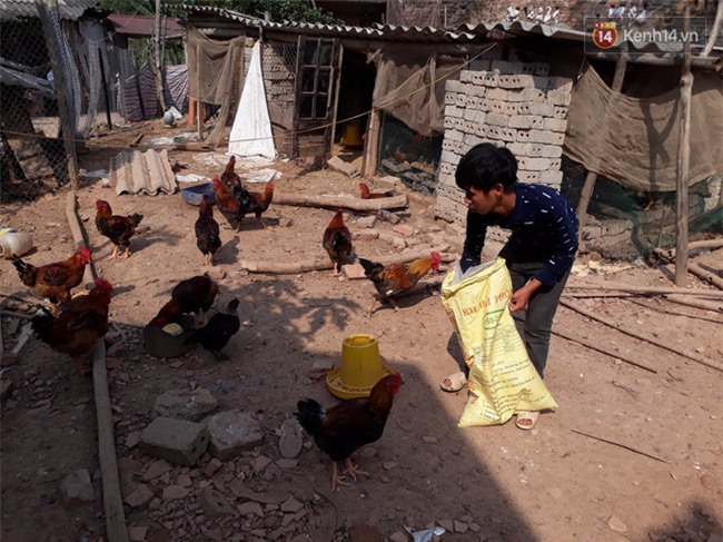 Gia cảnh khốn cùng của người đàn ông bị đánh chết do can ngăn hai anh em ruột đánh nhau - Ảnh 3.