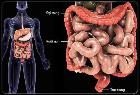 Chuyên gia Bệnh viện K chỉ ra thủ phạm có thể khiến cả gia đình bị ung thư-2