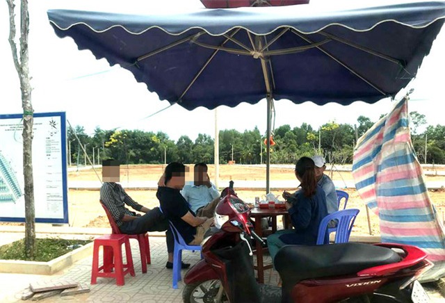 Đội ngũ cò xuất hiện ở nhiều nơi tại Phú Quốc.