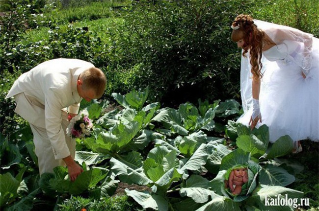 khi hai ho xem xong anh cuoi "cuoi ra nuoc mat" hinh anh 15