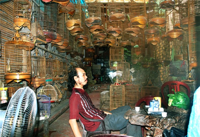 chim cảnh,thú chơi,đại gia Việt