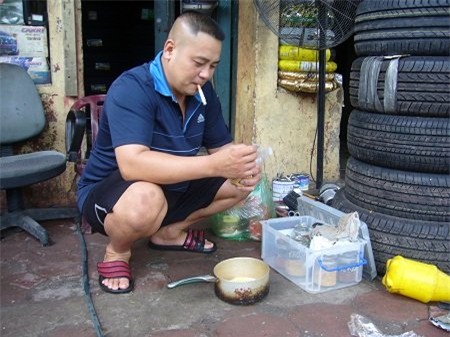 chim cảnh,thú chơi,đại gia Việt