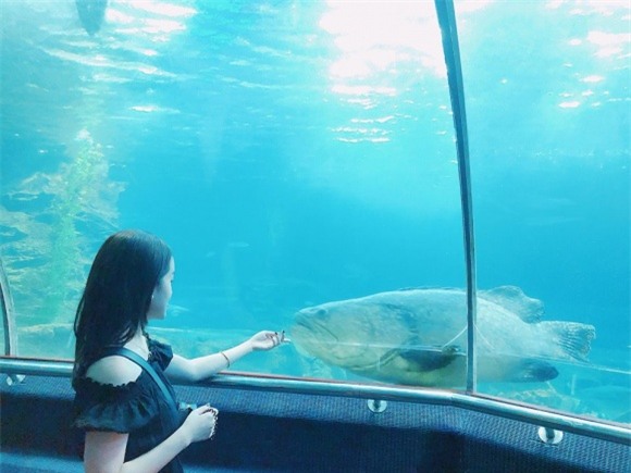 Ly Kute, hot girl, con trai Ly Kute