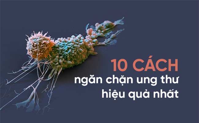 10 chuyên gia đúc kết 10 nguyên tắc vàng phòng tránh ung thư-1