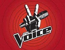 The Voice Vietnam: Lửa cháy tứ bề