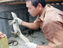 Làng nuôi rắn thu bạc tỷ của thủ đô giờ ra sao?-8