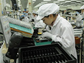 Thứ nông dân thường vứt đầy đồng không ngờ là mỏ vàng-3