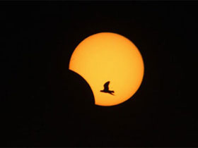 Cảnh báo nhật thực toàn phần ngày 8/4 có thể gây ra nhiều vụ tai nạn xe hơi chết người-2