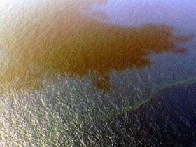 Phát hiện vệt dầu ở khu vực tìm kiếm MH370