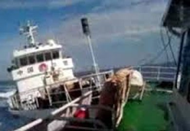 CLIP: Tàu Trung Quốc hung hăng đâm thẳng tàu Việt Nam