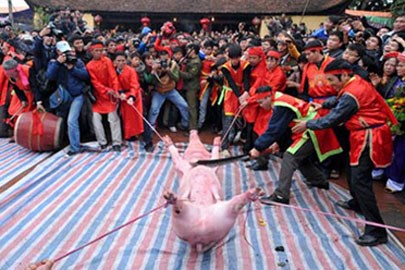 Lễ hội chém lợn : Liệu người lớn có thực sự lo cho trẻ em?