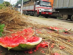 Ùn tắc ngàn tấn dưa hấu sang TQ: Bất lực kéo dài