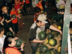 Sài Gòn nỗ lực cứu 10 tấn dưa hấu của bà con nông dân Quảng Nam