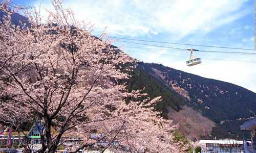 Cáp treo Kintetsu Beppu Ropeway