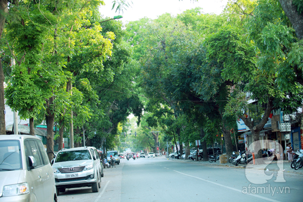 Phố Quang Trung thưa thớt bóng người qua lại, cây xanh mướt đầy đặn tạo cảm giác thanh bình yên ả cho con phố.