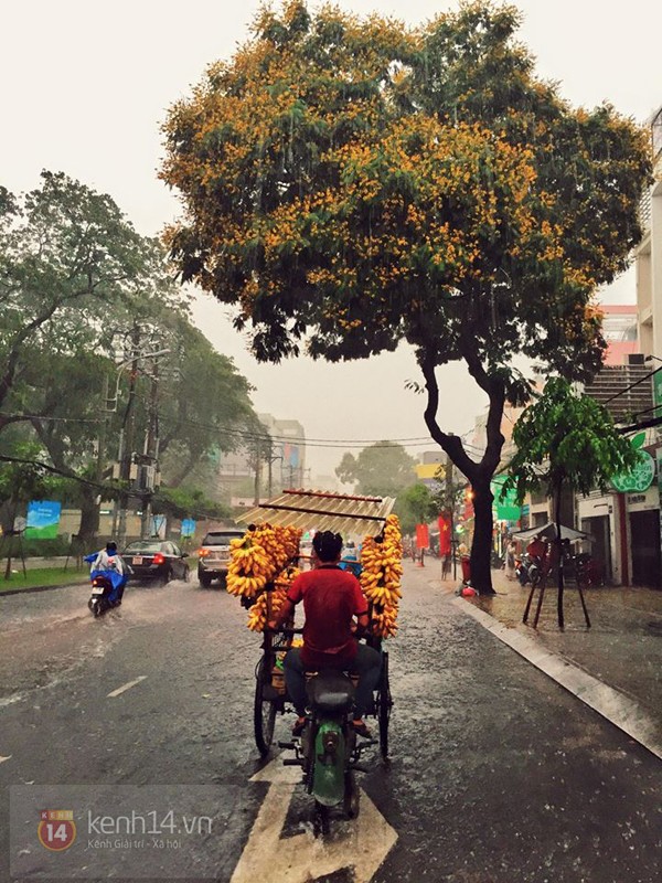 Nếu ai đó hỏi tôi ghét nhất cái gì ở Sài Gòn thì chắc chắn tôi sẽ nói đó là mùa mưa. Mùa mưa ở Sài Gòn khủng khiếp lắm.