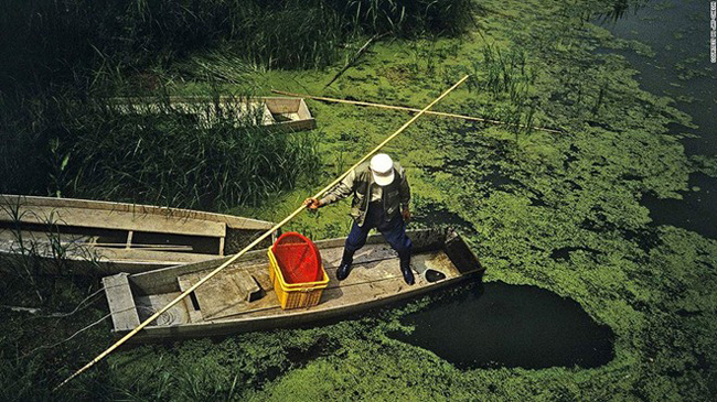 17. Đầm lầy Upo: Đầm lầy Upo trải rộng 5.550 km2 với hơn 1.000 loài động thực vật và đã được bảo vệ từ năm 1998.