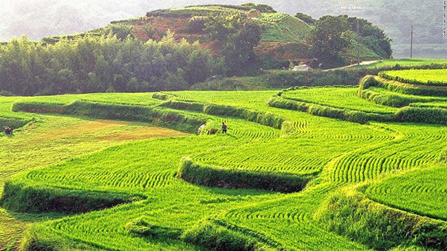 18. Hapcheon Daraknon: Những thửa ruộng bậc thang của Hapcheon ở phía nam tỉnh Gyeongsang tạo ra một khung cảnh tuyệt vời.