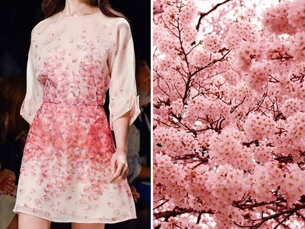 Thiết kế của thương hiệu Blumarine cho Xuân Hè 2014/ Hoa anh đào Nhật Bản