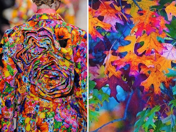 Thiết kế nổi bật của thương hiệu Comme des Garçons Thu Đông 2013/14/ lá mùa Thu